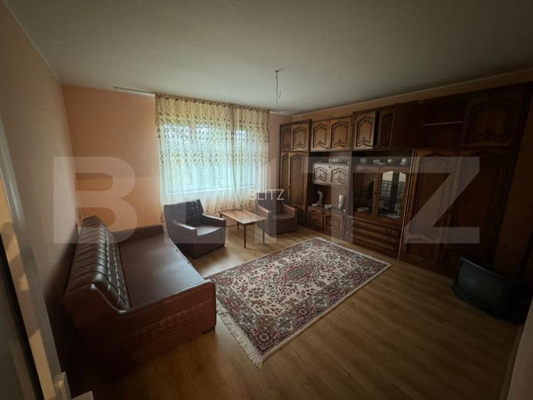 Doua case amplasate 3300 mp teren, Comuna Nimigea Tau - 13