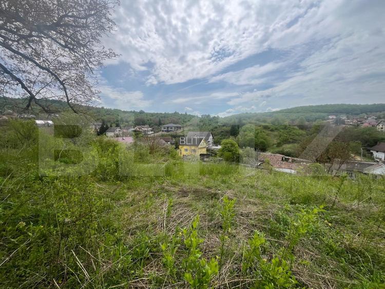 Teren intravilan 3.100 mp | Zonă de case | Valea Budacului | Toate utilitatile - 5