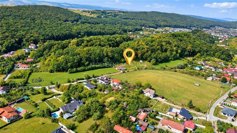 Teren premium de 500 mp la marginea padurii: oaza de liniste si intimitate
