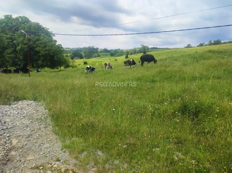 Proprietate cu potențial de dezvoltare – Breaza | Drumul Talii - 5