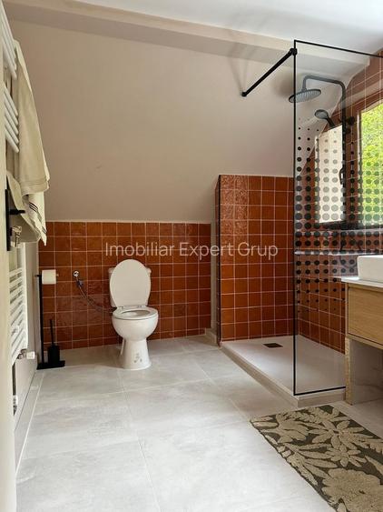 Casă renovată premium, Drajna de Sus, Prahova 3029 mp - 25