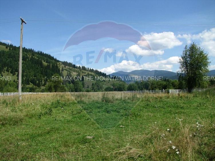 Vanzare Teren 13.650 mp , Suceava / com.Dorna Arini - 6