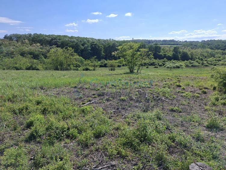 Teren intravilan de vanzare 9783 mp, in Paleu, Bihor