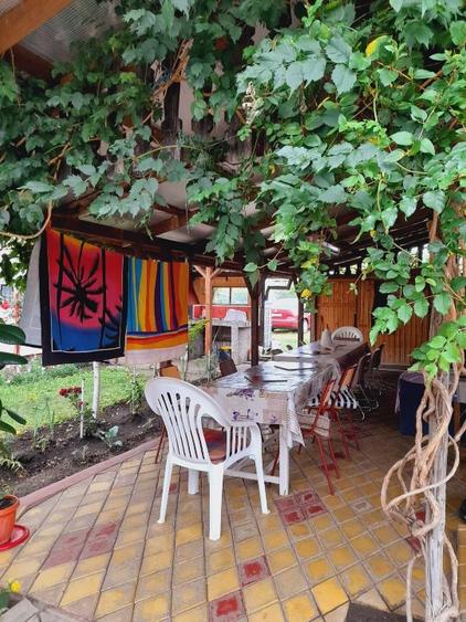 Complex turistic cu 2 cabane în stațiunea Tășnad de vânzare