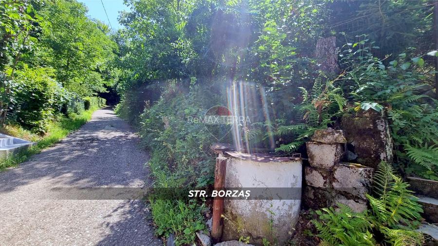 Sub padure, casa si teren de vanzare in Baia Mare - 16