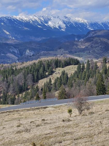 Vând/schimb cu apartament sau casă în Brașov Teren panoramic 7.2 hectare