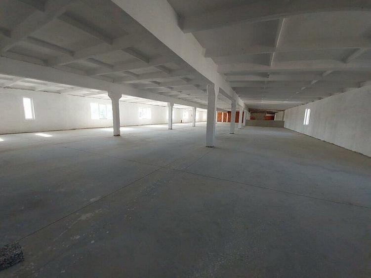Hala depozitare, productie Bodrogului Aeroport Arad Autostrada A1