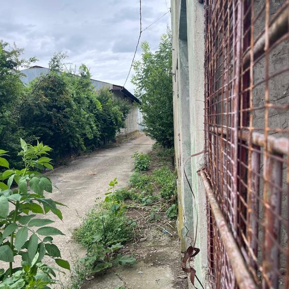 Complex industrial/Ferma de vânzare | Orțișoara, jud. Timiș