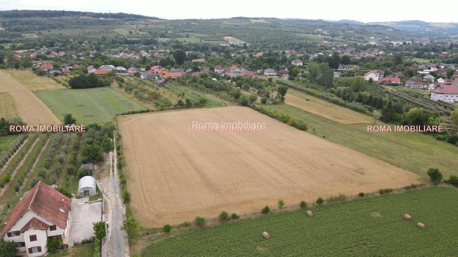TEREN INTRAVILAN DE VÂNZARE – ȘOMCUTA MARE, MARAMUREȘ - 7