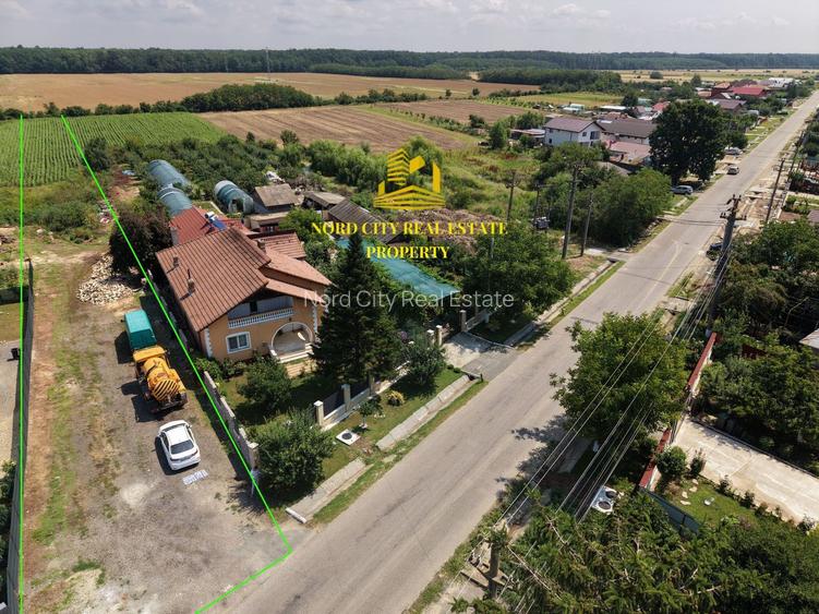 Teren 2.700 mp Ciocănești - Urziceanca | La asfalt - 15