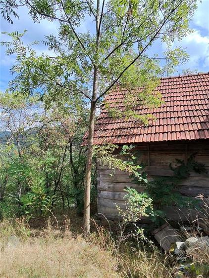 888 mp teren cu priveliste si cladiri in Mihaileni