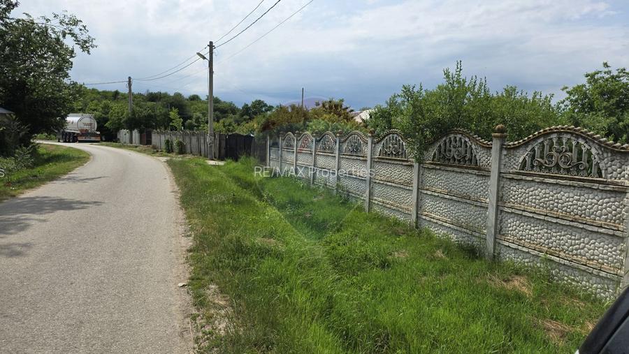Domeniu rural, gospodarie/multifunctionala cu casa, livada, vie - 48