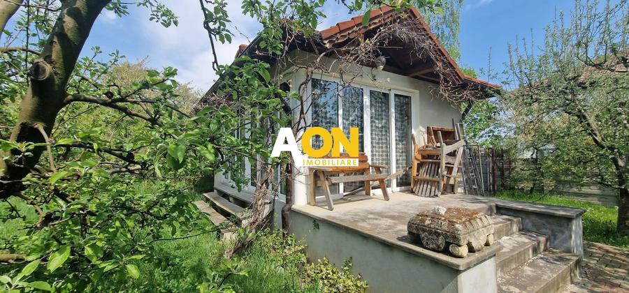 Casă 5 camere, S+P+1E+M, 434 mp, 1500 mp teren, Alba Iulia, zona Schit