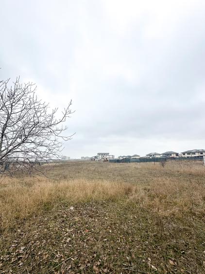 Teren 1Ha ( 10.000 MP ) & Alte loturi 400 - 600 mp | Oportunitate Investitie