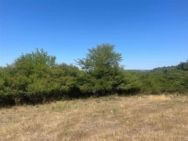 RECO Teren extravilan Holod 27400 mp