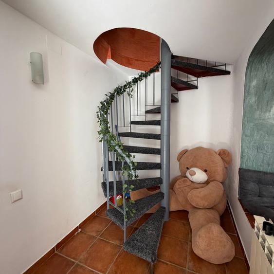 Casa P+1, aproape de Piata Universitatii, pet friendly, curte comuna