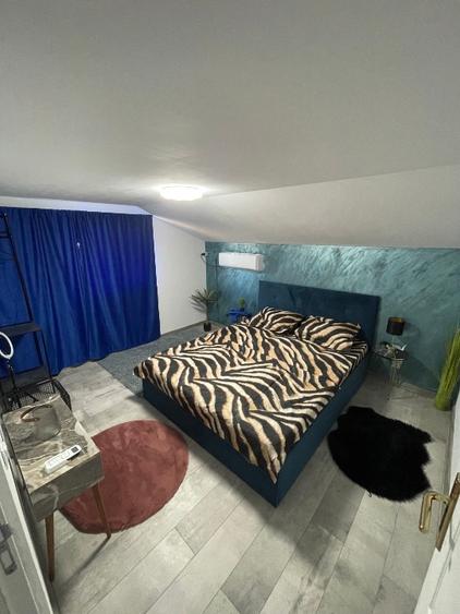 Surduc lake house 574