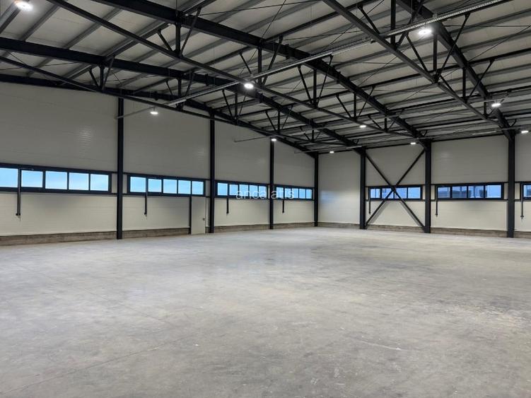 Proprietar, inchirez hala industriala pentru depozitare in Ghiroda - 3