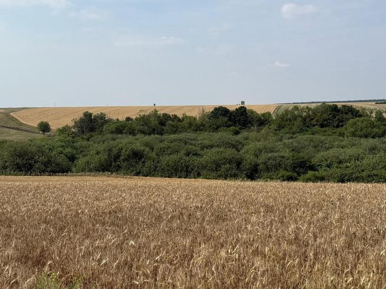 Teren intravilan Miersig, vedere la lac. 12,5 E/mp neg. Comision 0