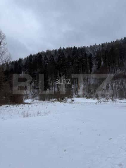 Cabană la munte în inima pădurii la 15 km de Brașov, zona Zizin - 2