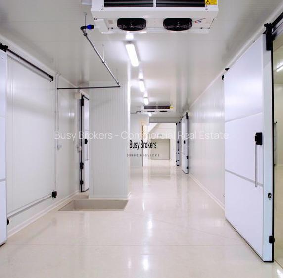 Spatiu Industrial - 1200 mp - Depozitare - Distributie - 4
