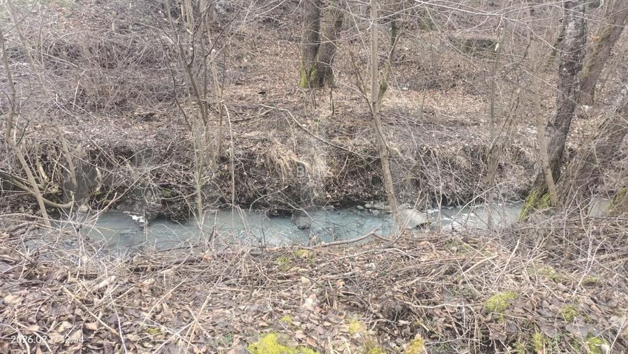 Oază de liniște în Sovata – Cabană cu piscină, teren generos și pârâu în grădin - 3