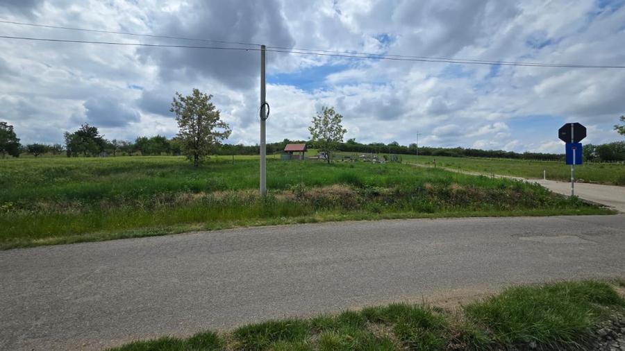 Teren intravilan Ardud Vii Satu Mare