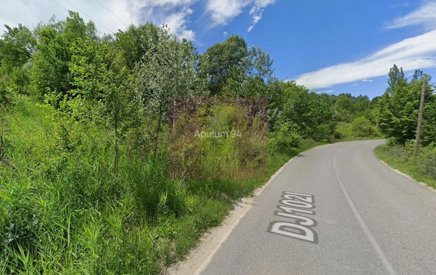 Teren intravilan de vanzare in Lunca Mare (la 10 km de Valea Doftanei) - 5