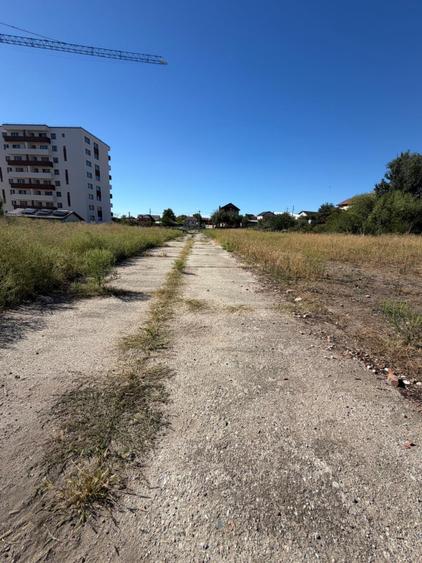 Teren intravilan, 5500 mp, zona Filiasi
