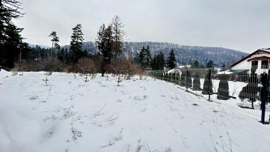 Teren intravilan - Sacele - Brasov