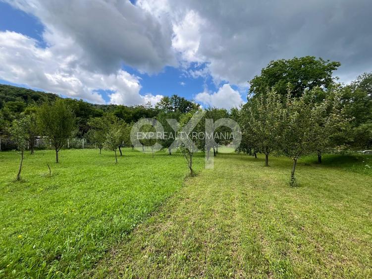 Casă P+M la roșu 188 mp și teren de 3.400 mp cu livadă in Pucioasa-Sat - 12