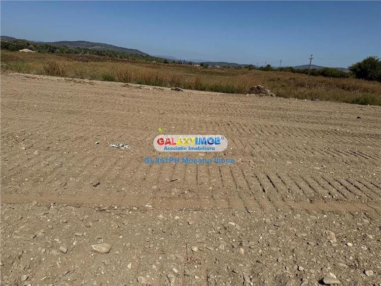 Vanzare teren 2960 mp, langa Ploiesti, in Lipanesti - 11