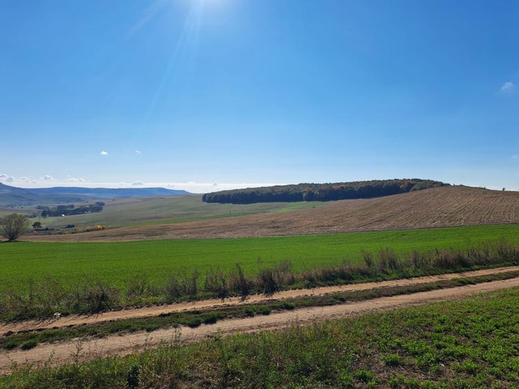 Teren agricol de vanzare