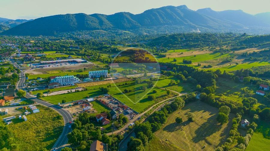 Teren intravilan 7.660 mp lângă Bran, panoramă 360°, comision 0%