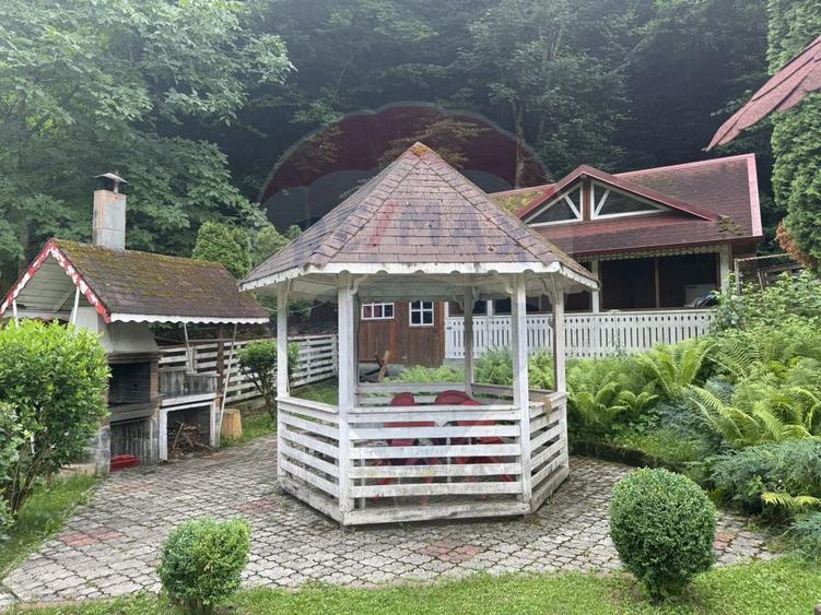 Cabana autentica de munte Frasinet - Baisoara 600 mp teren