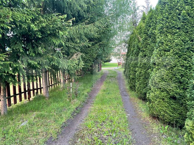Casă de vacanță / cabană Câmpu Cetății – 2460 mp teren
