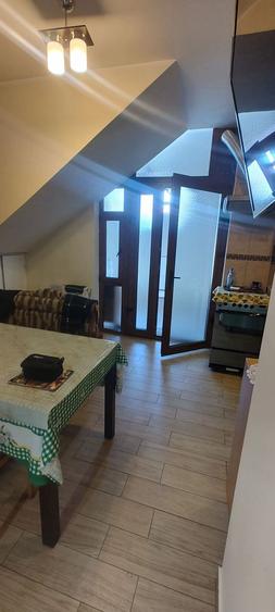 Vila / Pensiune Constanta Delfinariu 10 camere 530 mp teren