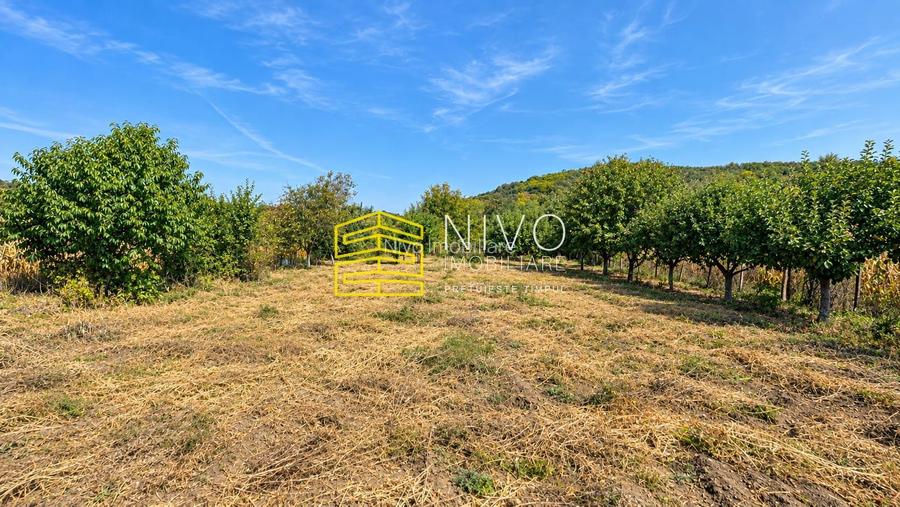 Casă singur în curte – Mureș - Idrifaia