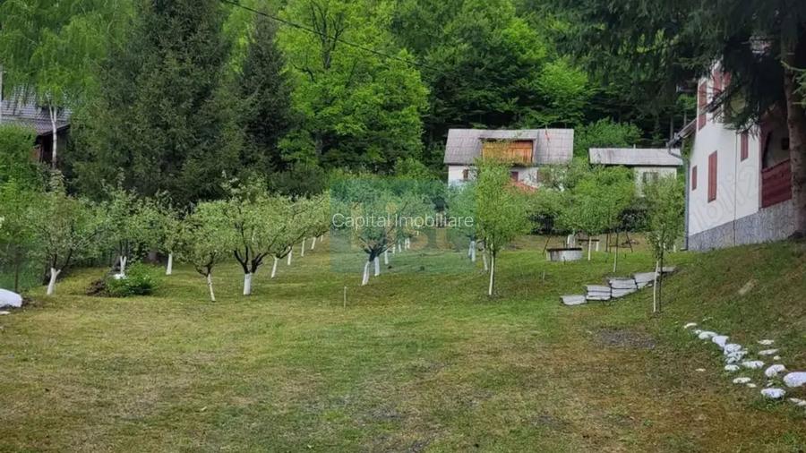 Proprietate Unică în Inima Naturii – Galaoaia, Mureș  - 3