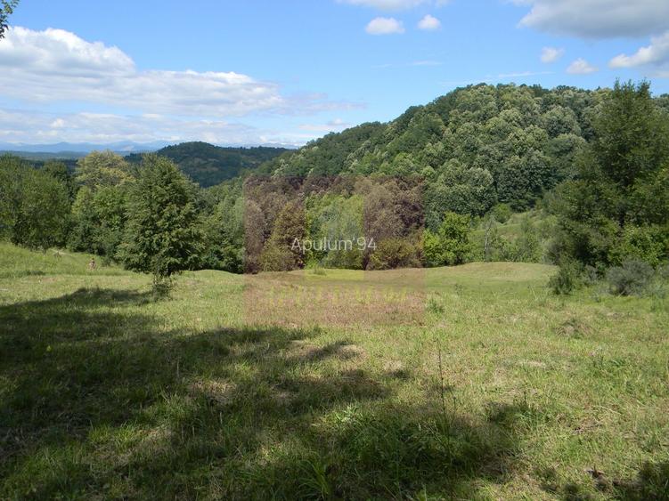 Teren intravilan de vanzare in Telega - 8