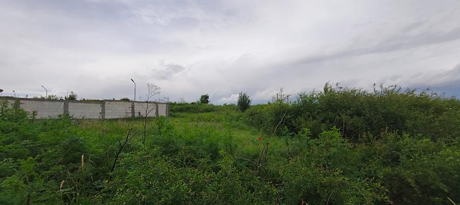 Teren Centura Severinului