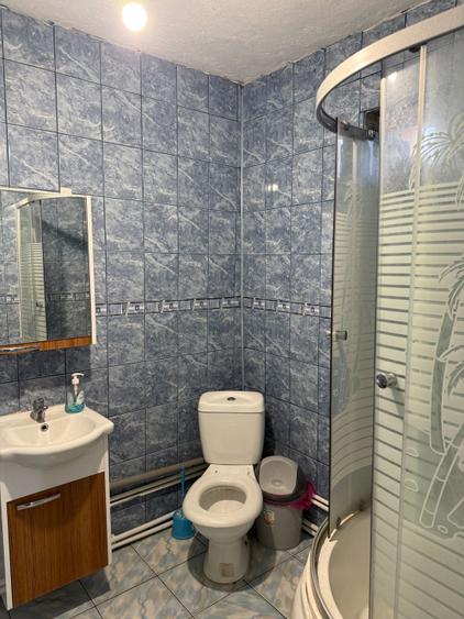 Casă P+1, 140 mp utili, zona Brestei/Râului