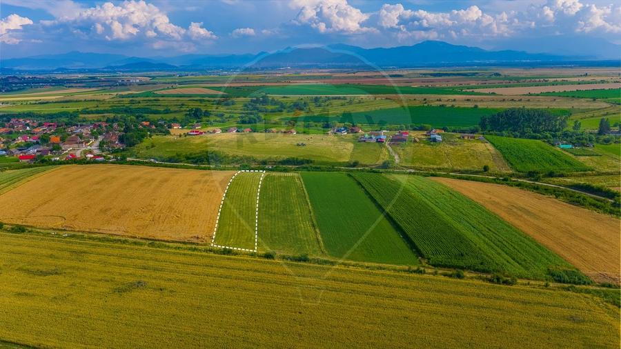 Oportunitate pentru fermieri: 10.800 mp teren arabil în Rotbav, Brașov