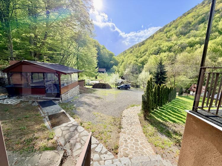 Cabana 5 camere, 140 mp utili, 3000 mp teren,balta de peste - 4