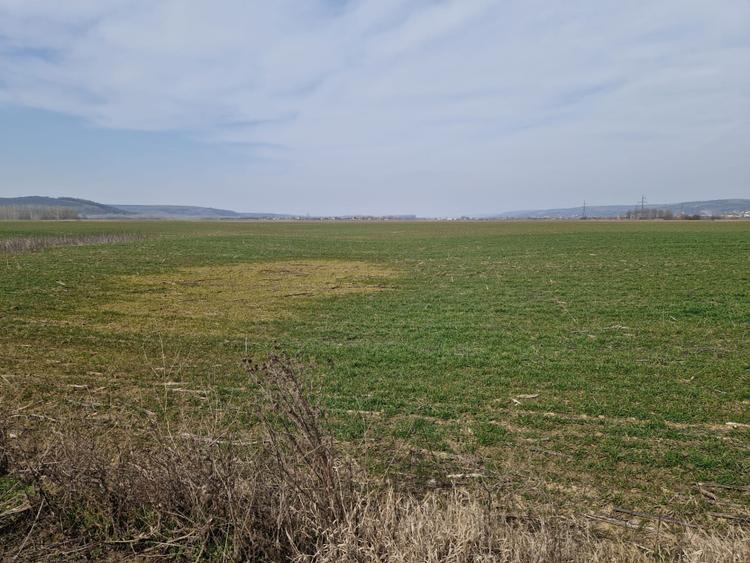 Teren intravilan de vânzare – 3300 mp, Leșile