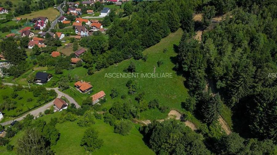 FILM! Proprietate autentica, Bran-Simon, 4.300 mp teren, casa traditionala + ane - 40
