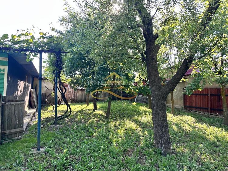 Casa batraneasca de vanzare in Filipesti Bacau - 5