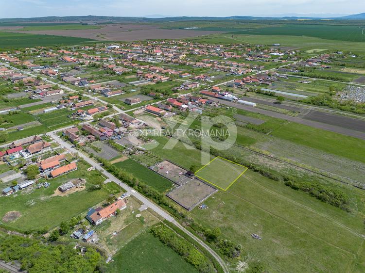 DE VÂNZARE: 1.448 MP DE „LINIȘTE PURĂ” LA NIȚCHIDORF - 3