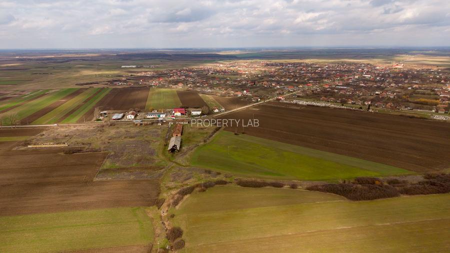 Fermă cu teren intravilan de 35000 mp în Mișca - 8