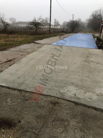 Ferma complet utilată – 30 ha teren comasat Timiș – Comuna Biled